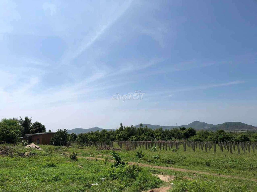 Cần bán lô đất 10.000m2