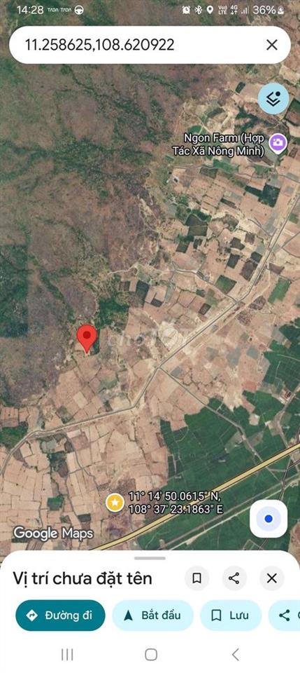 Cần bán lô đất 10.000m2