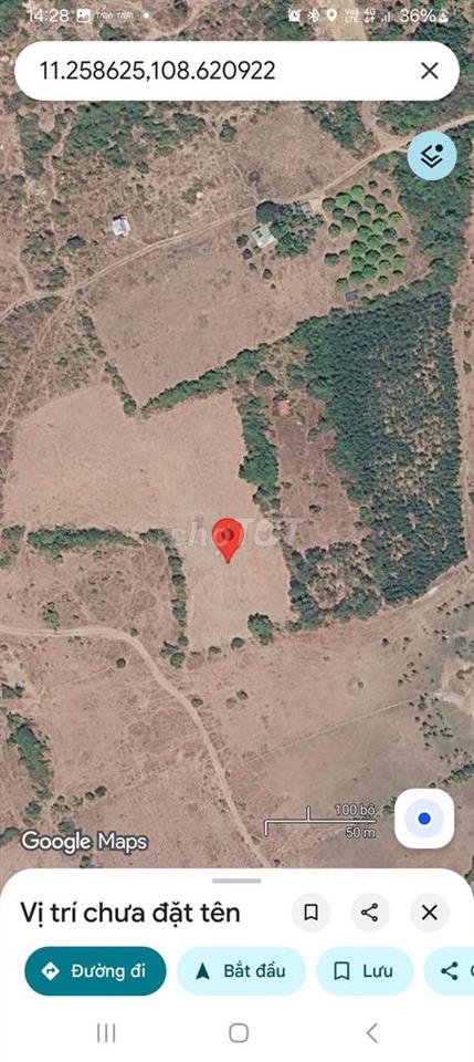 Cần bán lô đất 10.000m2