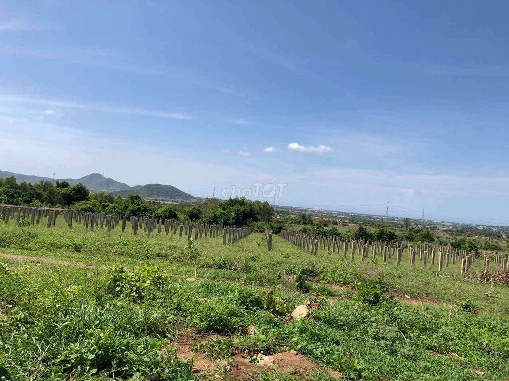 Cần bán lô đất 10.000m2