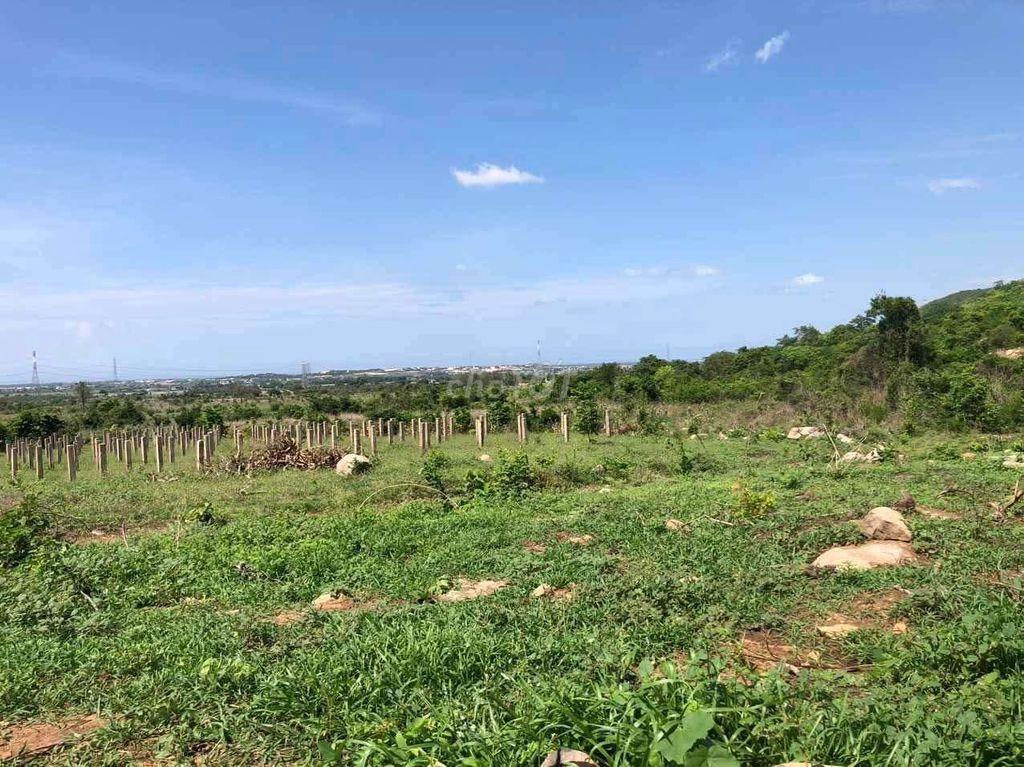 Cần bán lô đất 10.000m2
