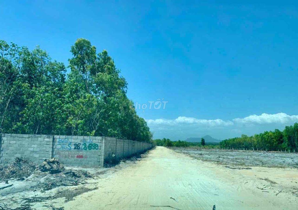 Đất 2MT trước sau1026m2, gần biển Phường lagi Bình Thuận (lâm đồng)