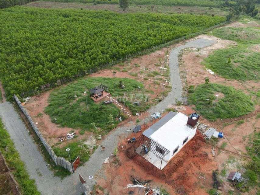 cần bán 2 mẫu 1 đất nông nghiệp