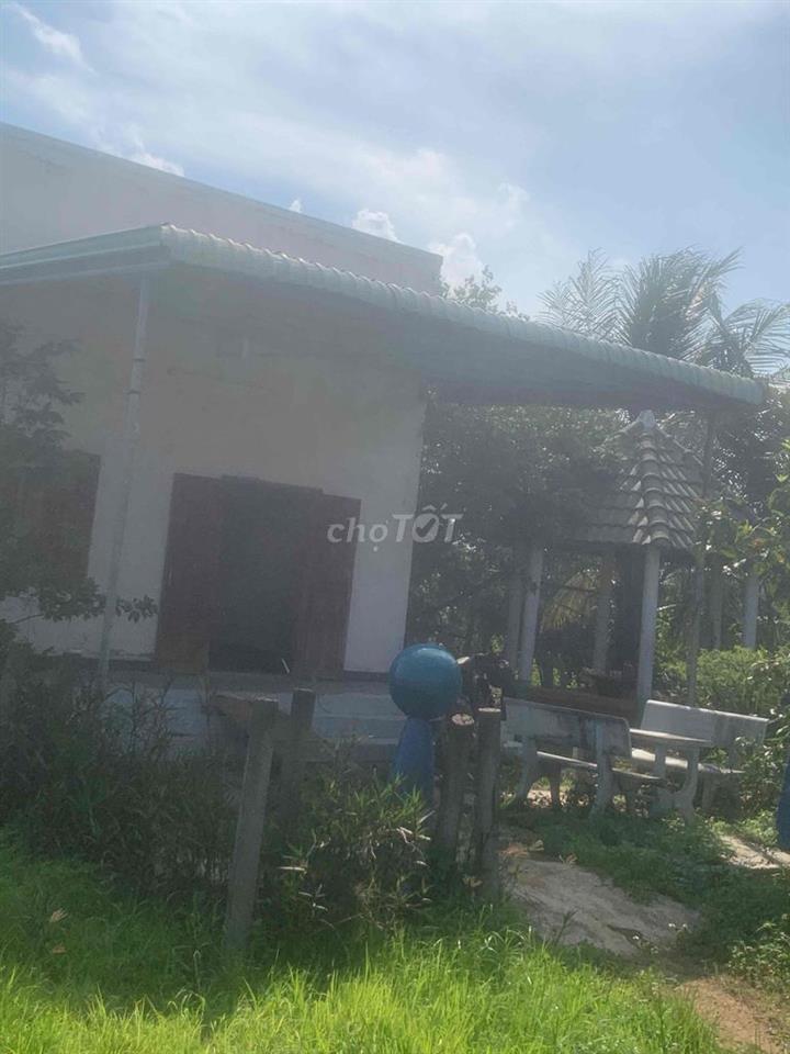 Cần bán gấp 10000m2(1mẫu) 1 căn nhà ,1 bình điện 900trụ tlong 1tỉ