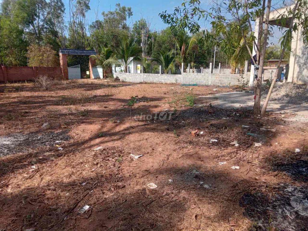 CHO THUÊ hoặc HỢP TÁC 4.000 m2 đất ở Tiến Thành, Phan Thiết