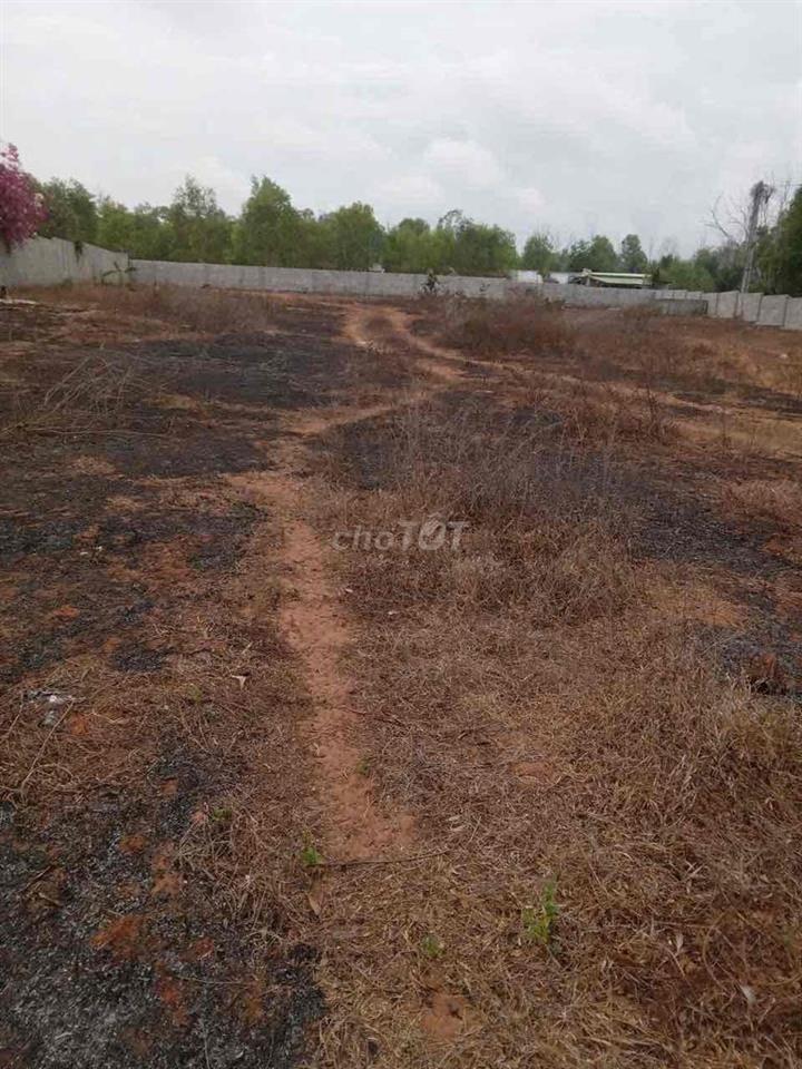 CHO THUÊ hoặc HỢP TÁC 4.000 m2 đất ở Tiến Thành, Phan Thiết