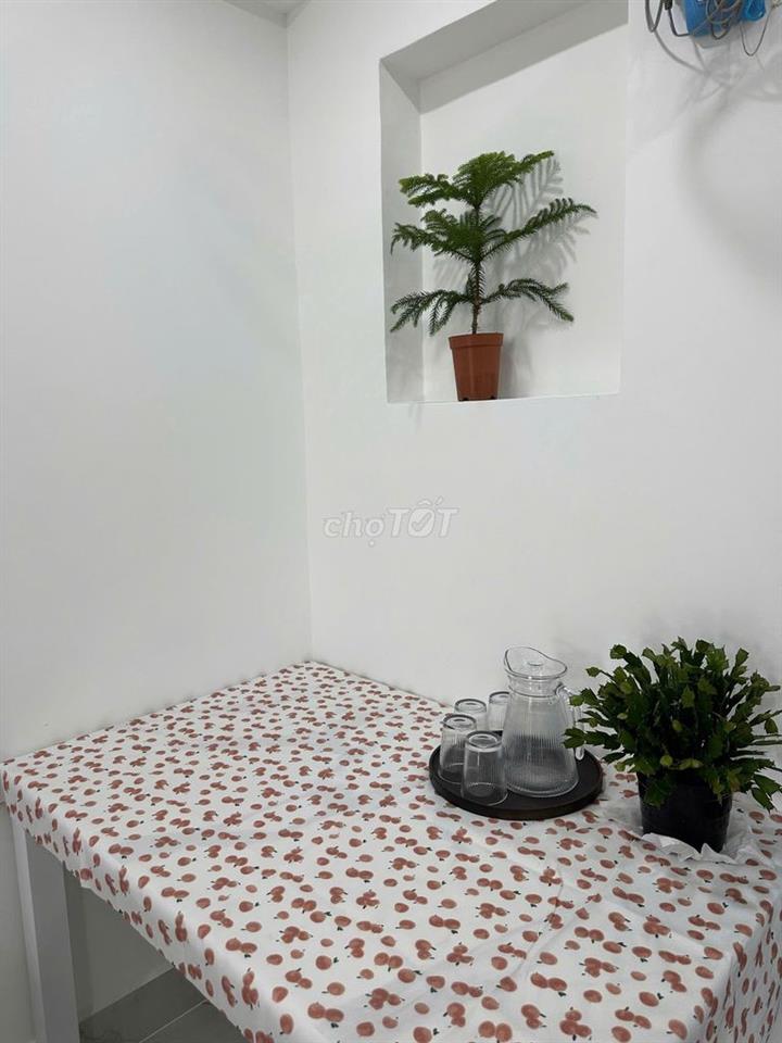 CHO THUÊ CĂN HỘ 2 PN SIÊU XINH KHU VỰC PHƯỜNG 9 VIEW RỪNG THÔNG