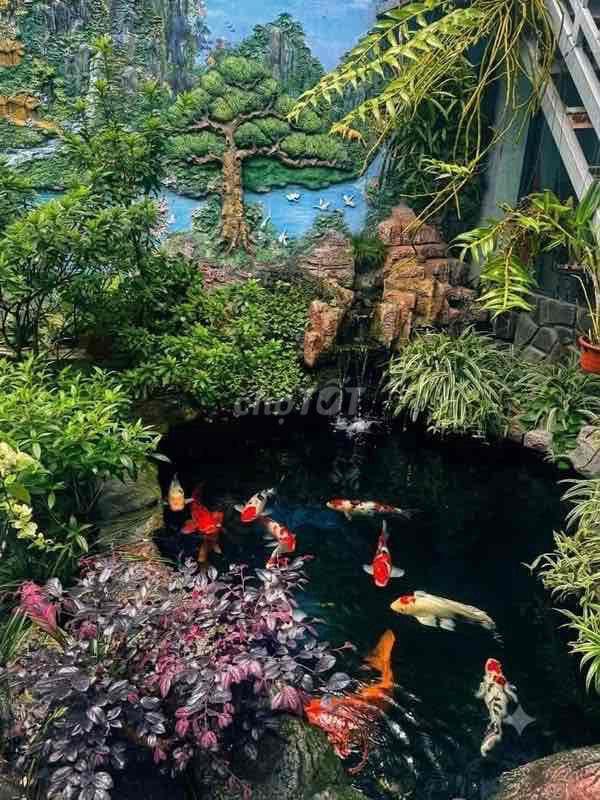 CẦN CHO THUÊ CĂN VILLA SÂN VƯỜN ĐƯỜNG XÔ VIẾT