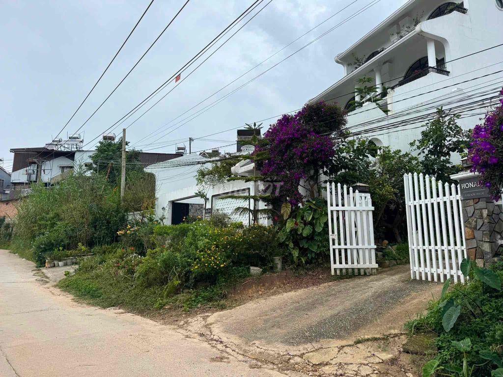 CẦN CHO THUÊ NHÀ SÂN VƯỜN ĐƯỜNG AN SƠN