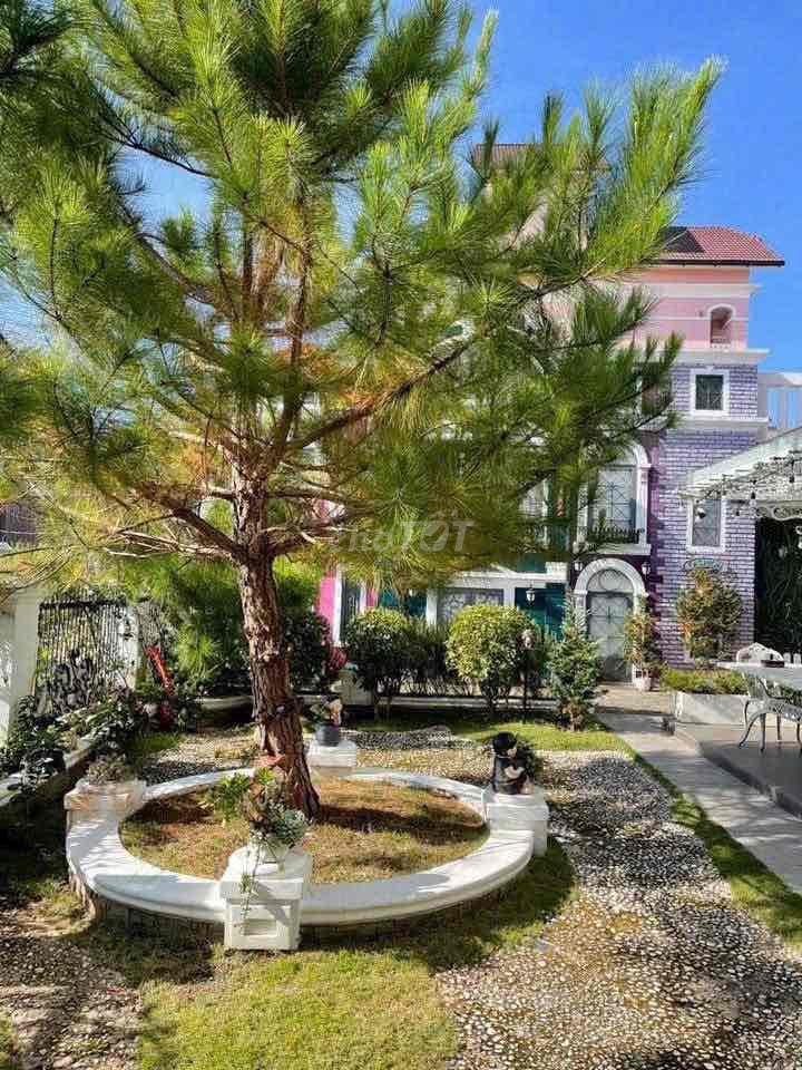 🏡 Biệt thự nghỉ dưỡng cao cấp – KDC DIC An Sơn, Đà Lạt