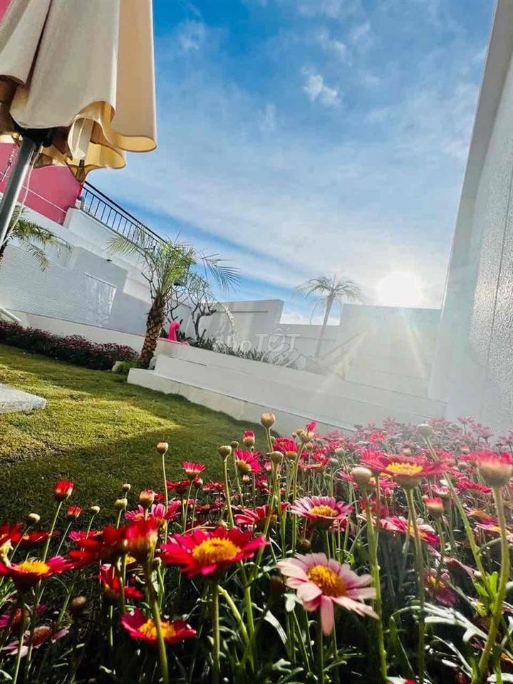 🏡Villa Khu Biệt Thự Du Lịch Nổi Tiếng Bật Nhất Đà Lạt