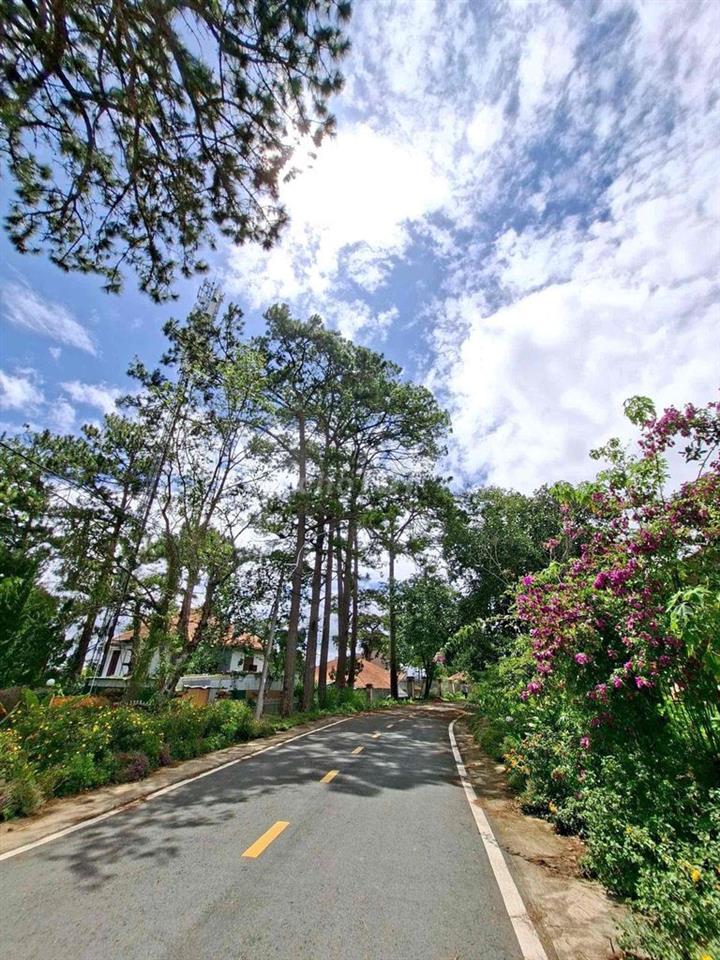 🏡Villa Hai Mặt Tiền Cũng Đường Yên Thế View Đẹp Bậc Nhất Đà Lạt
