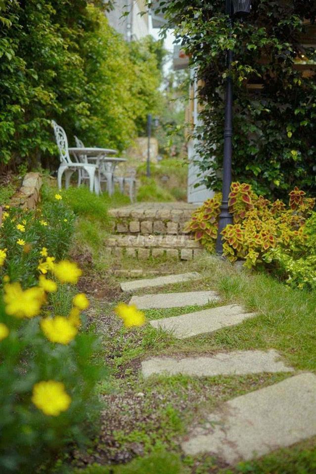 🏡Villa Pháp Qua Đẹp - Ngay Hoàng Diệu Chỉ 3 Phút Đã Tới Hồ Và Chợ Đêm