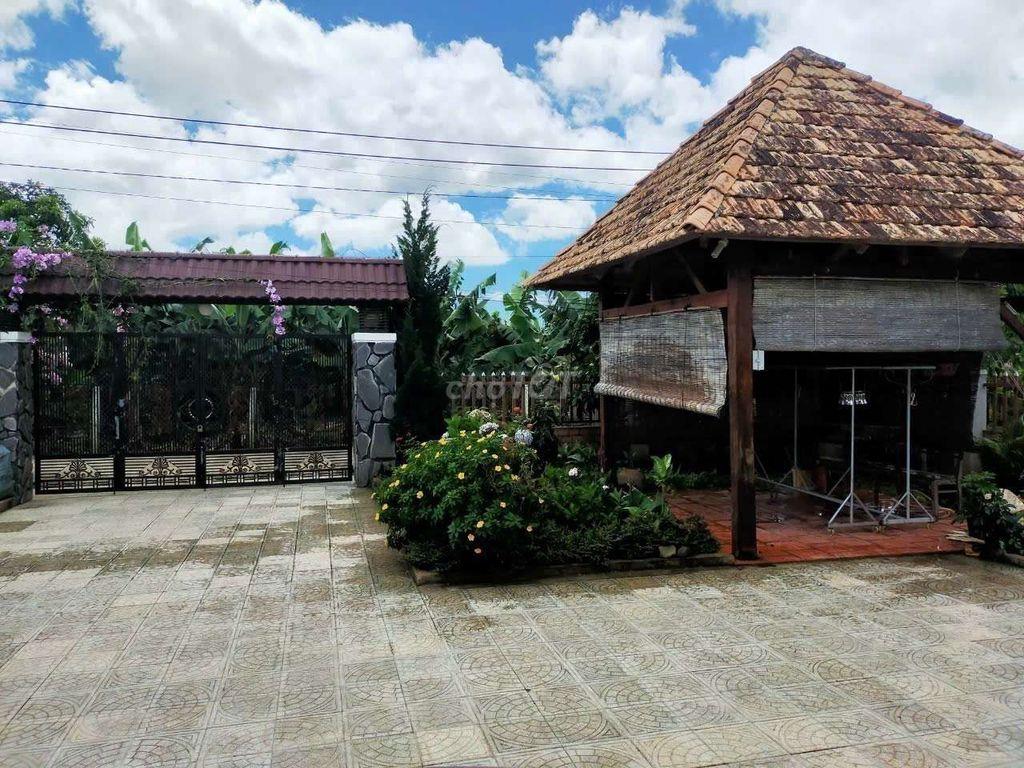 nhà sân vườn 