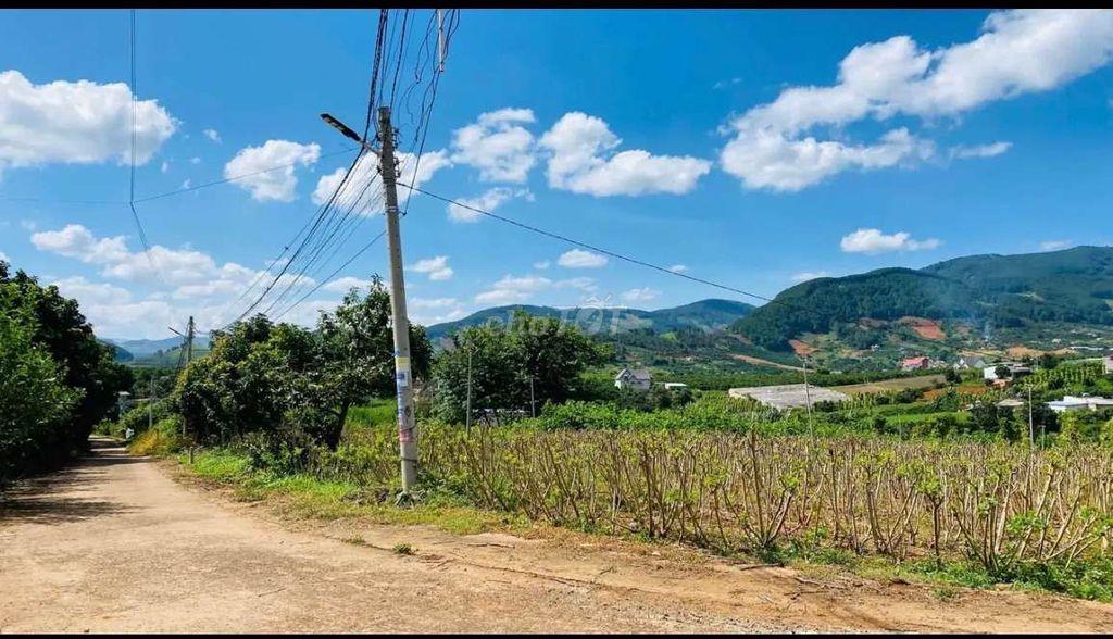 Lô góc nghỉ dưỡng view núi Voi siêu đẹp!