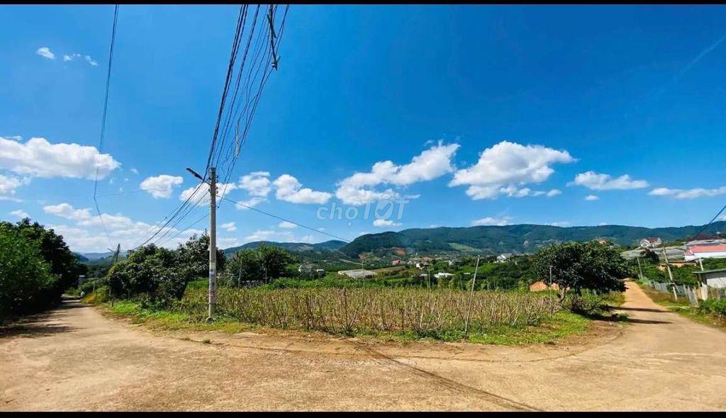 Lô góc nghỉ dưỡng view núi Voi siêu đẹp!