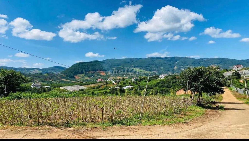 Lô góc nghỉ dưỡng view núi Voi siêu đẹp!