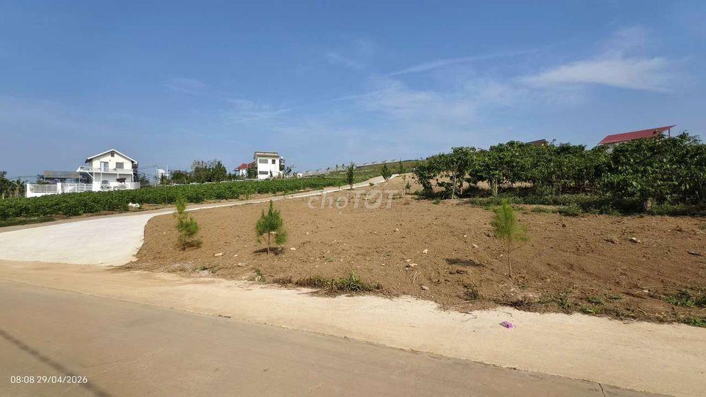 Bán đất view hồ Từ Liêm tại Nam Ban Lâm Hà- ven Đà Lạt
