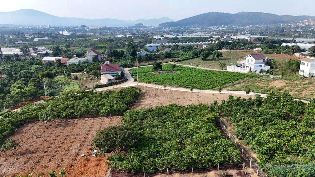 Bán đất view hồ Từ Liêm tại Nam Ban Lâm Hà- ven Đà Lạt