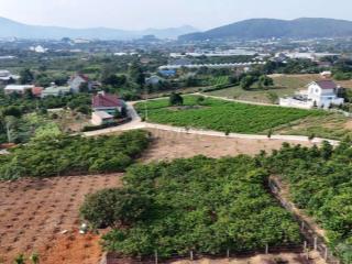 Bán đất view hồ Từ Liêm tại Nam Ban Lâm Hà- ven Đà Lạt