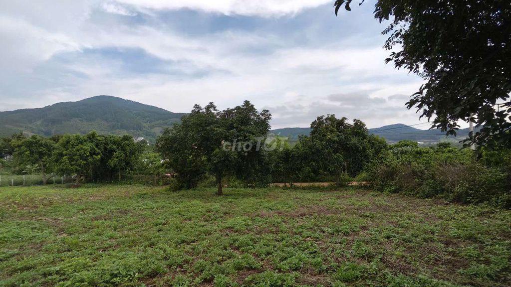 Đất ven Đà Lạt- 371m2 ( thực tế 500m2) 1.299 ty