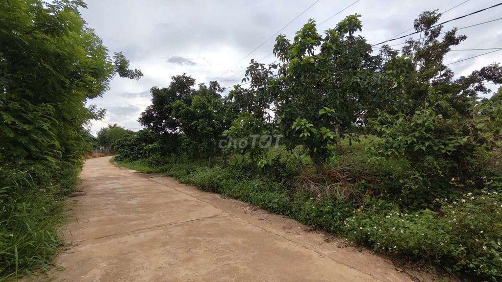 Đất ven Đà Lạt- 371m2 ( thực tế 500m2) 1.299 ty