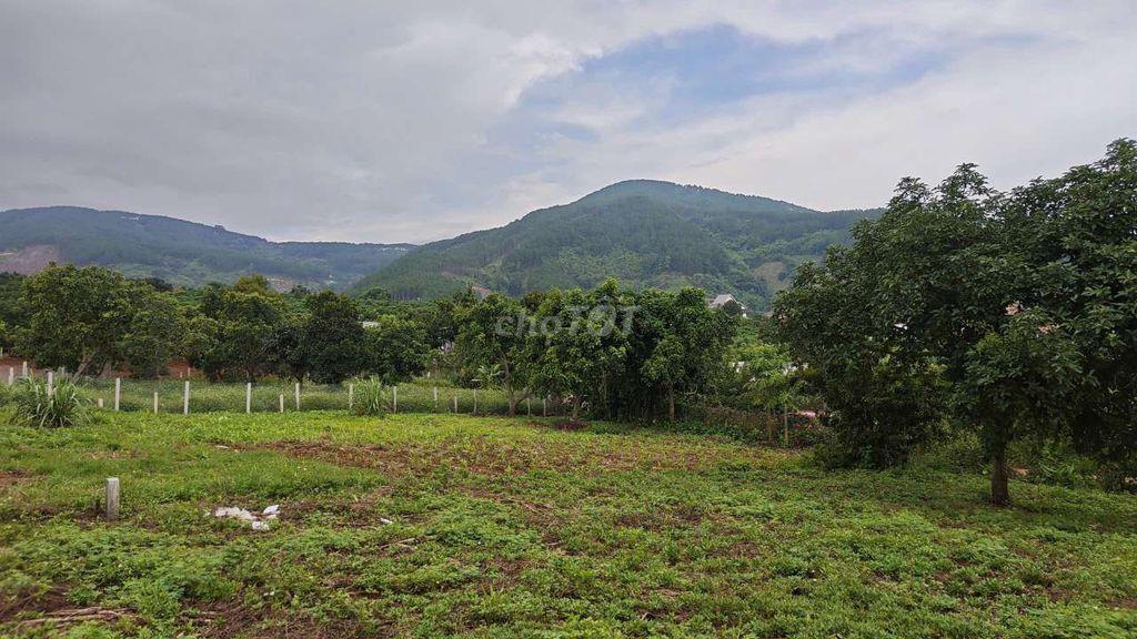 Đất ven Đà Lạt- 371m2 ( thực tế 500m2) 1.299 ty