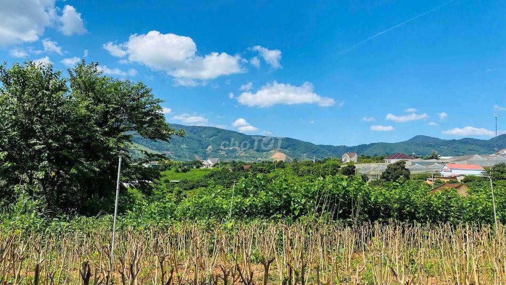 Đất nghỉ dưỡng gần Đà Lạt view đẹp tại Nam Ban Lâm Hà