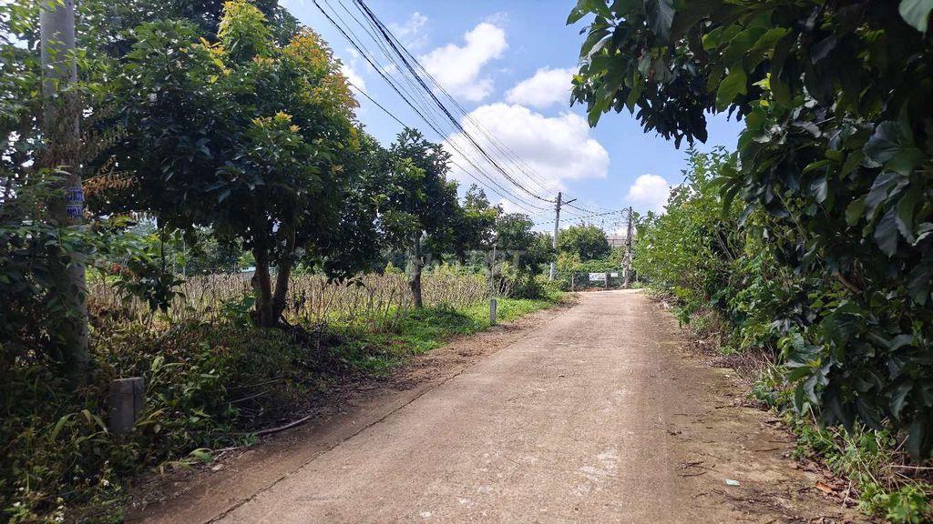 Đất nghỉ dưỡng gần Đà Lạt view đẹp tại Nam Ban Lâm Hà