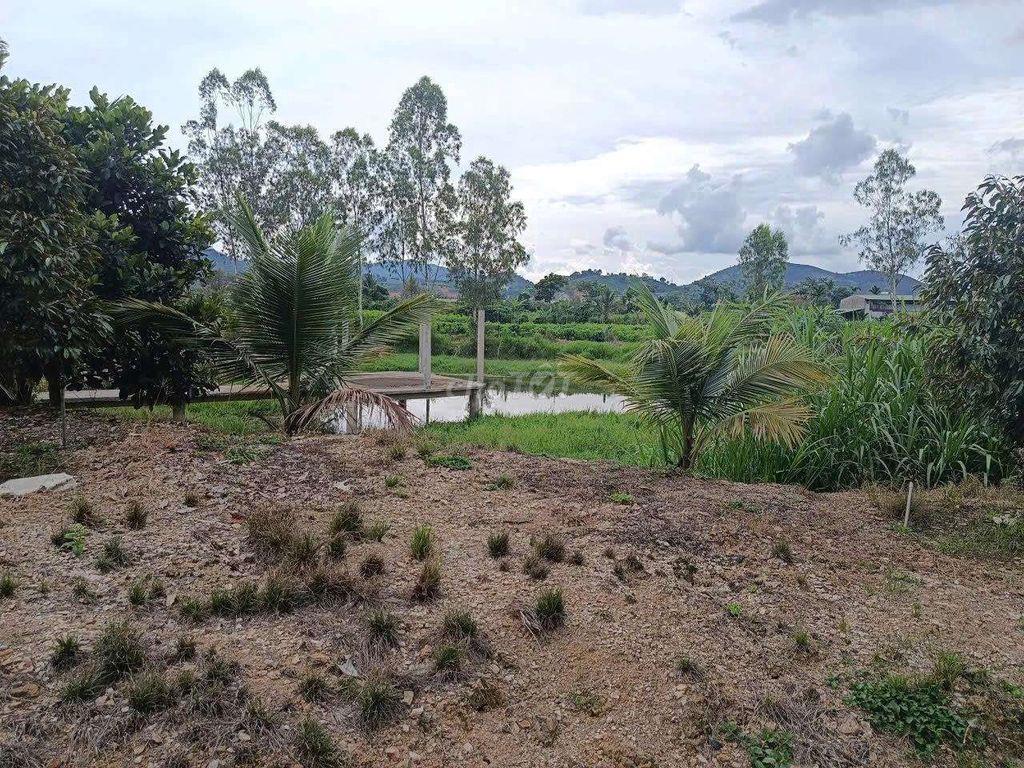 Đất đầu tư nghỉ dưỡng quá tuyệt