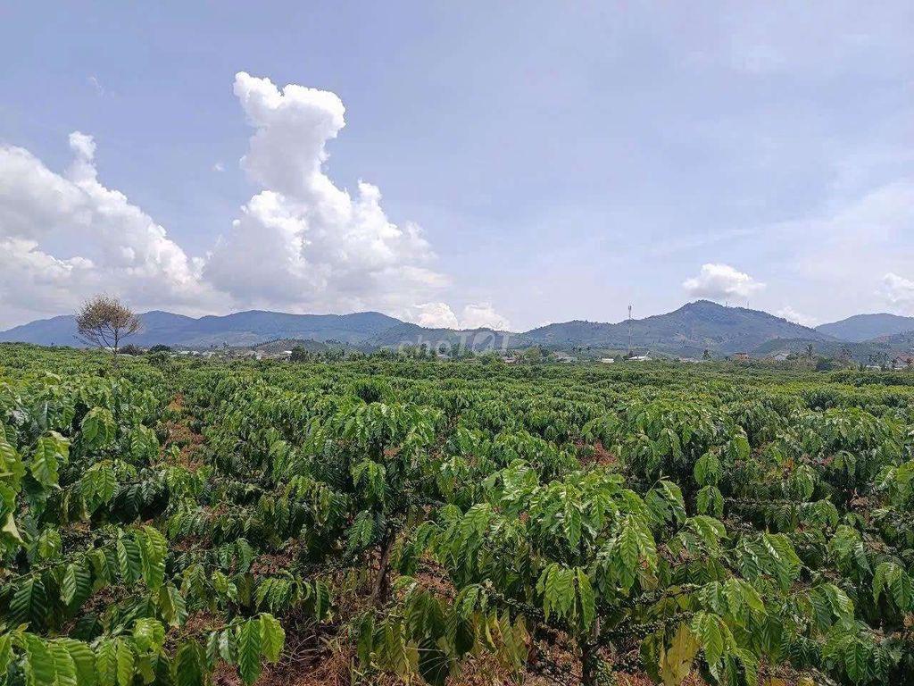 Đất đầu tư nghỉ dưỡng quá tuyệt