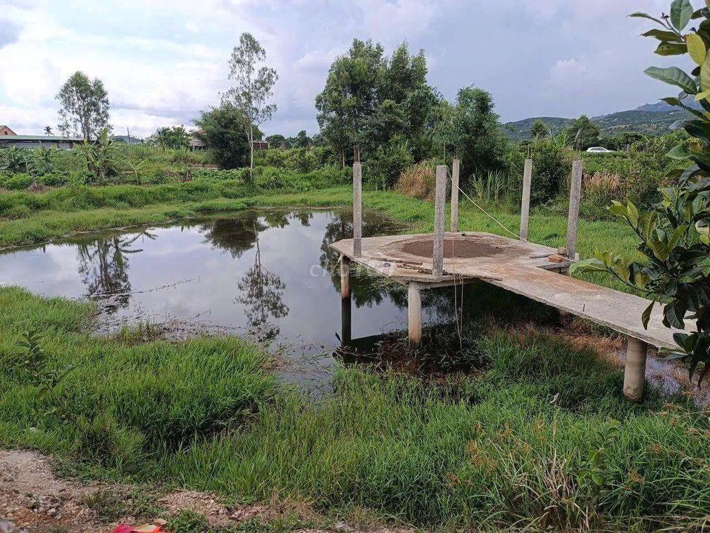 Đất đầu tư nghỉ dưỡng quá tuyệt