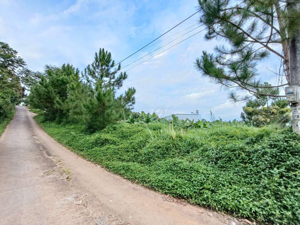 Bán Đất Gần Chợ Lộc An