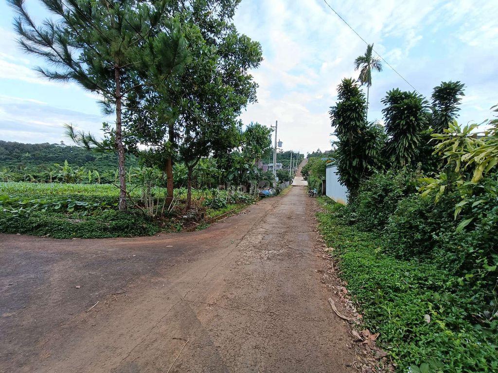 Bán Đất Gần Chợ Lộc An