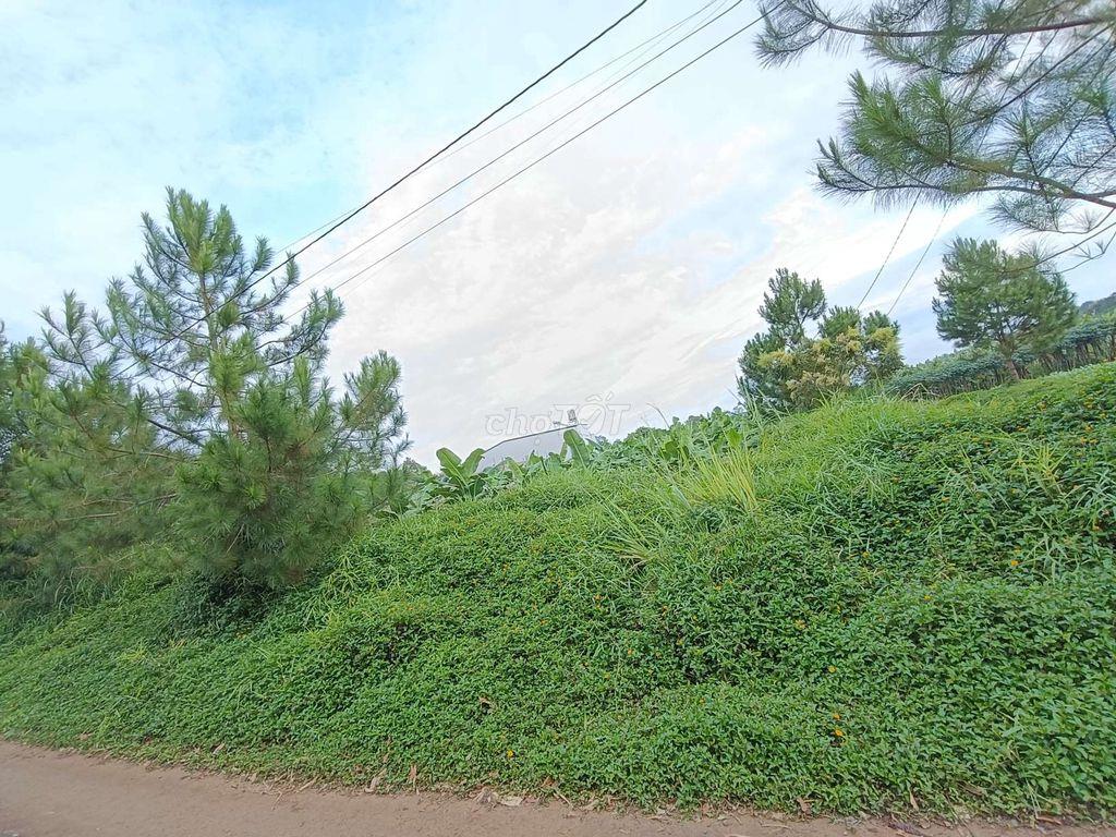Bán Đất Gần Chợ Lộc An