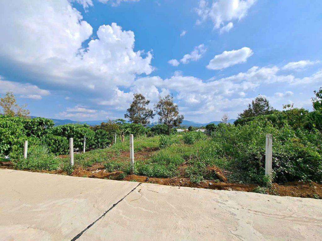 500m2 đất đẹp cần bán cho nhà đầu tư