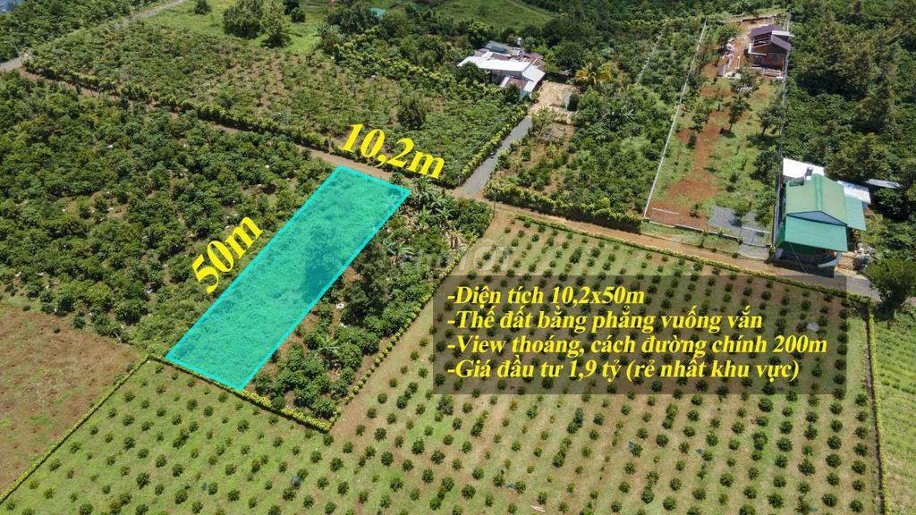 500m2 đất đẹp cần bán cho nhà đầu tư