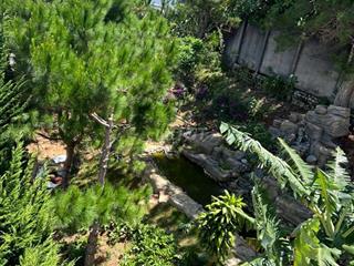 Bán Villa Sân vườn rộng trung tâm TP Đà Lạt
