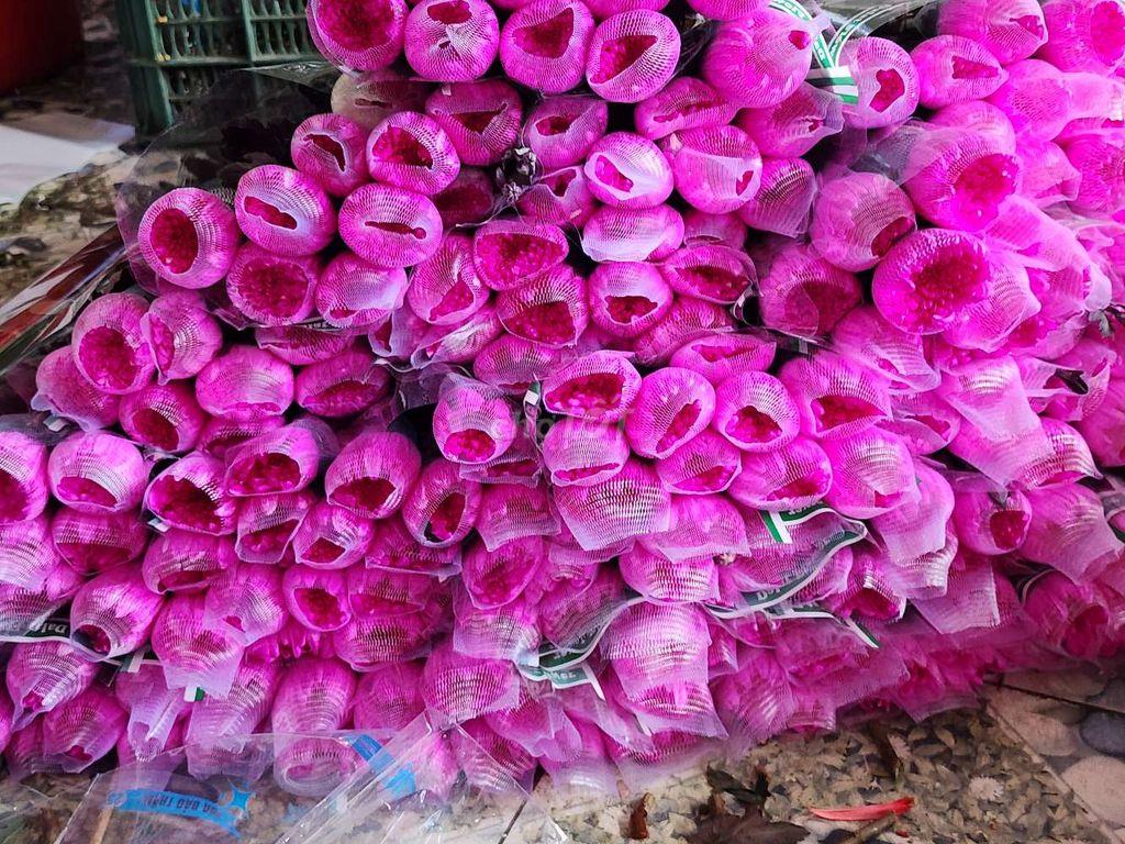 32m mặt tiền 