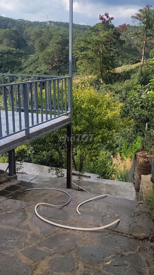 Nhà view đồi thông săn mây Xuân Trường Đà Lạt 1000m2 sổ riêng