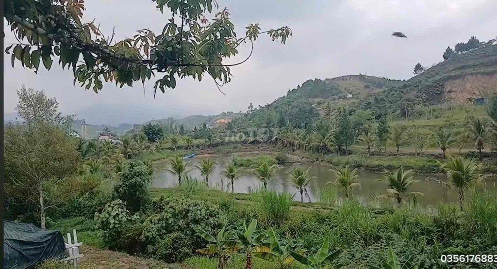 Cho Thuê nhà Nghỉ Dưỡng P3 Tp Bảo Lộc