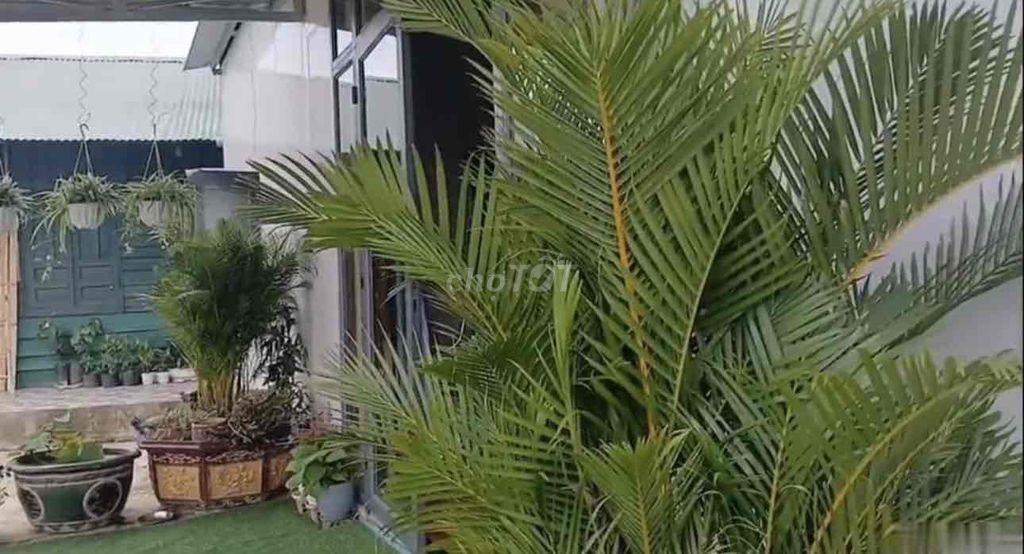 Cho Thuê nhà Nghỉ Dưỡng P3 Tp Bảo Lộc