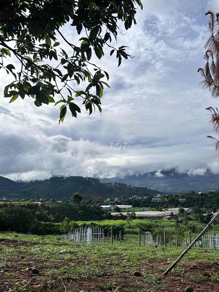 Đất View Săn Mây Nằm Giữa Khu Dân Cư Tại NAM BAN