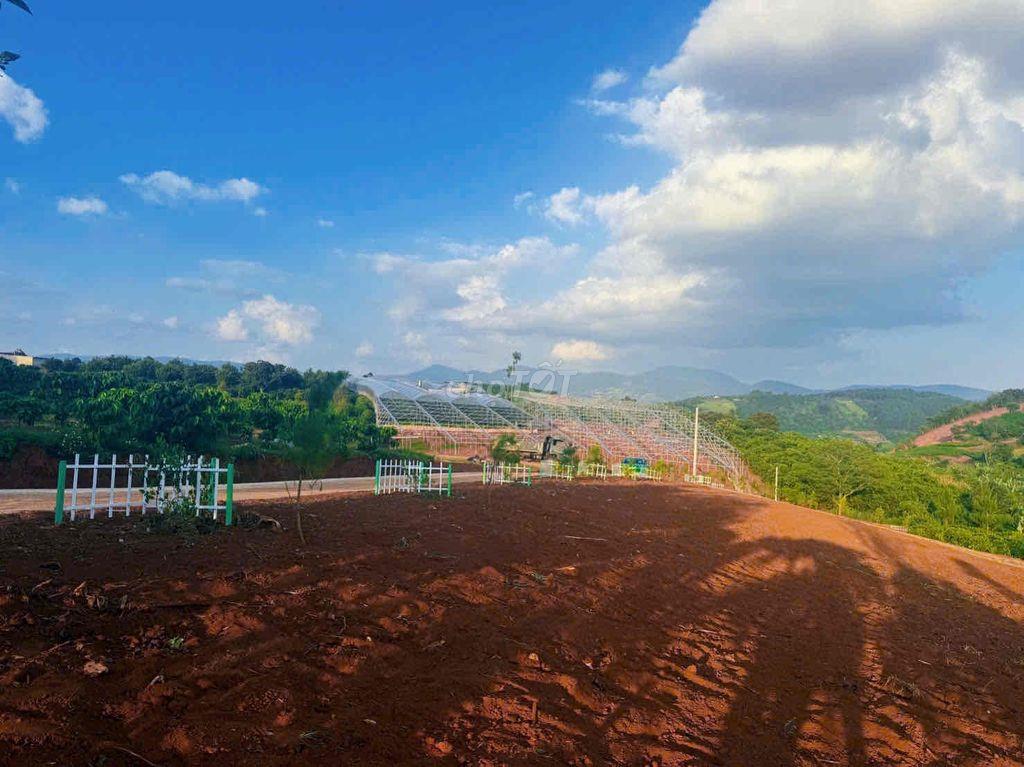 Nam Hà - Lâm Hà 390tr
