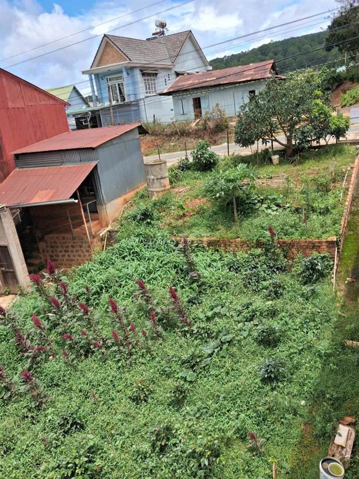 CHÍNH CHỦ BÁN LÔ ĐẤT MẶT TIỀN ĐƯỜNG XUÂN SƠN, P. XUÂN TRƯỜNG, ĐÀ LẠT