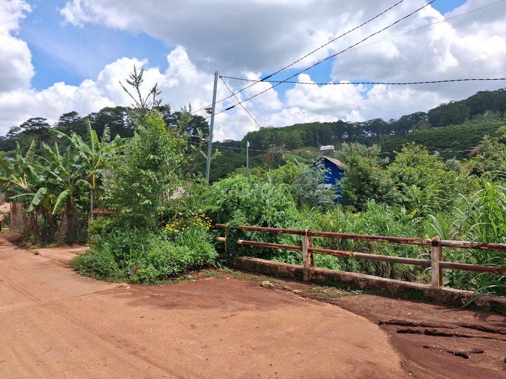 BÁN ĐẤT VƯỜN CAFÉ VIEW SUỐI P. XUÂN TRƯỜNG – ĐÀ LẠT (SỔ ĐỎ CHÍNH CHỦ )