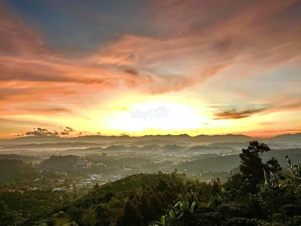 Bán lỗ đất có thổ cư, view săn mây sẵn sầu riêng