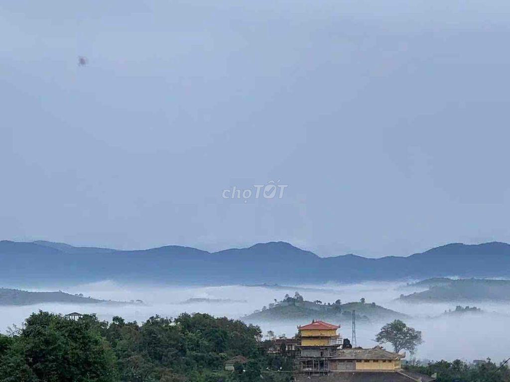 Bán lỗ đất có thổ cư, view săn mây sẵn sầu riêng