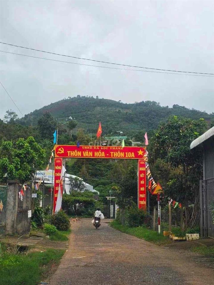 Bán lỗ đất có thổ cư, view săn mây sẵn sầu riêng