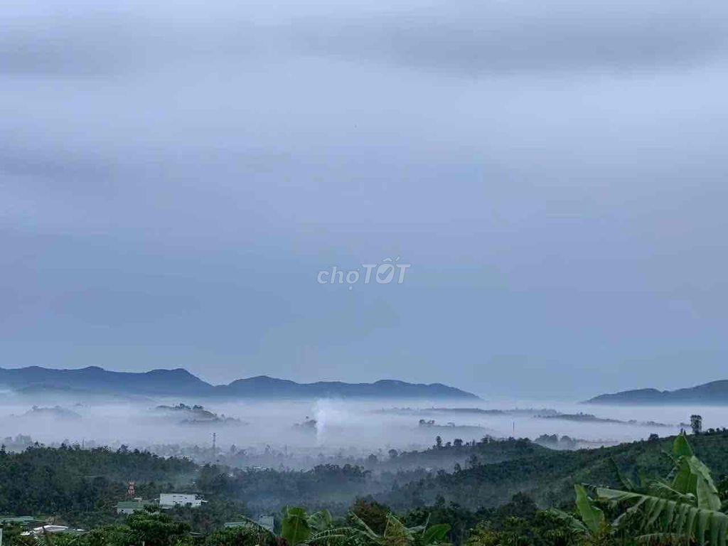 Bán lỗ đất có thổ cư, view săn mây sẵn sầu riêng